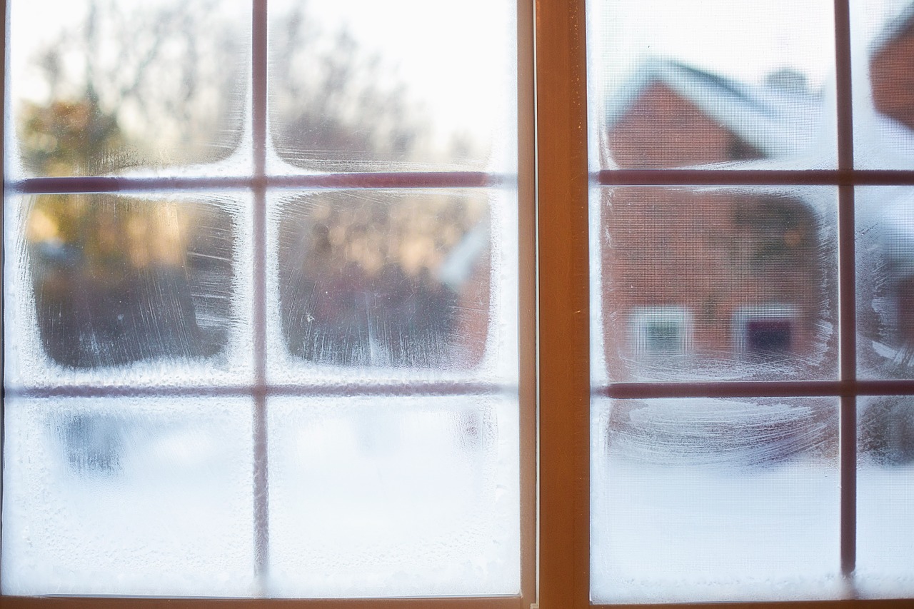 frost window moisture