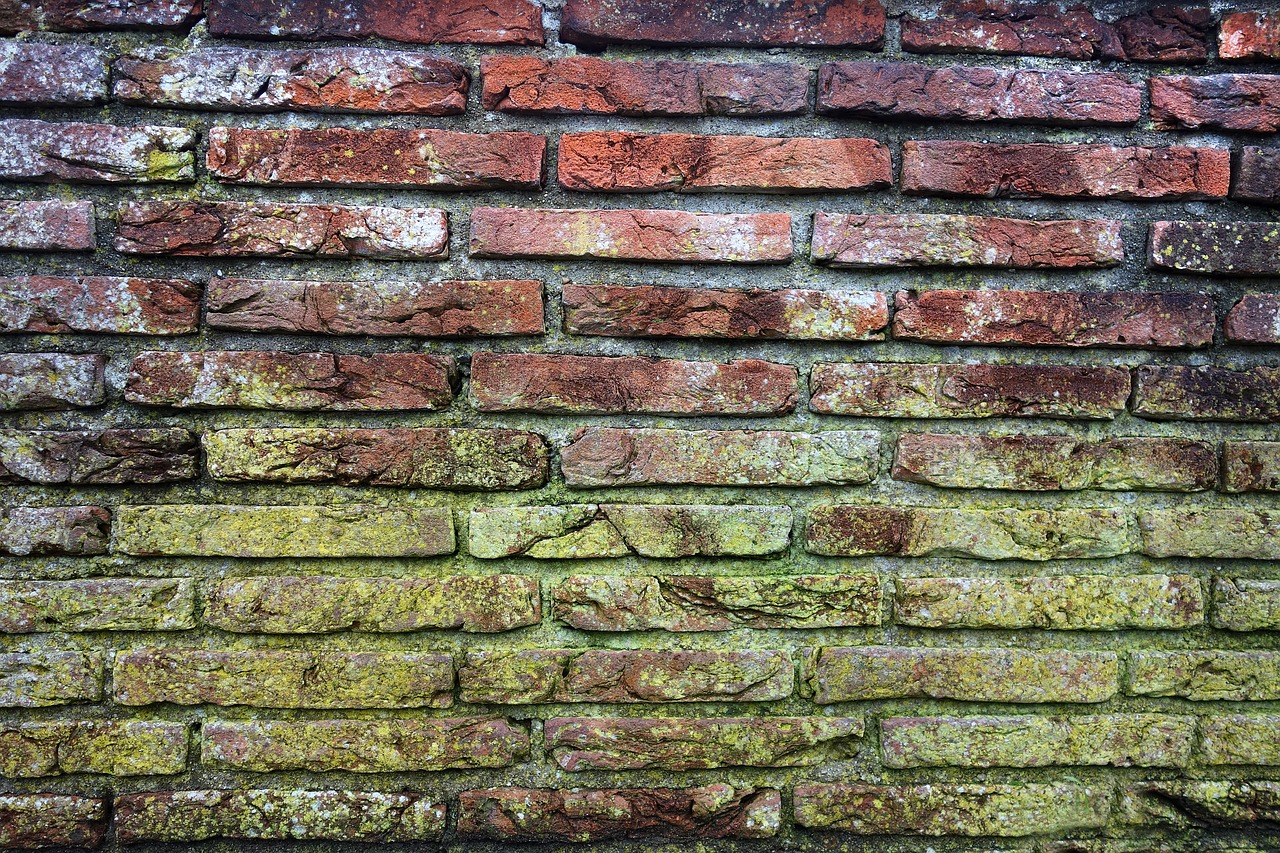 brick wall mold