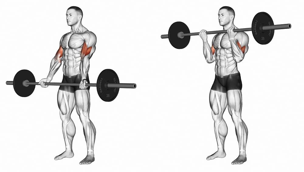 curling with supinated grip