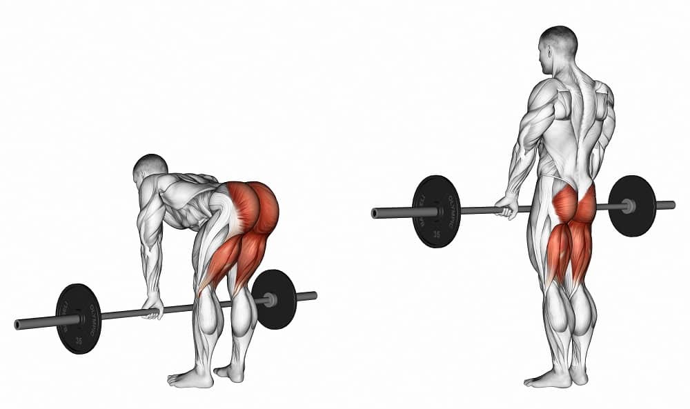 romanian deadlift