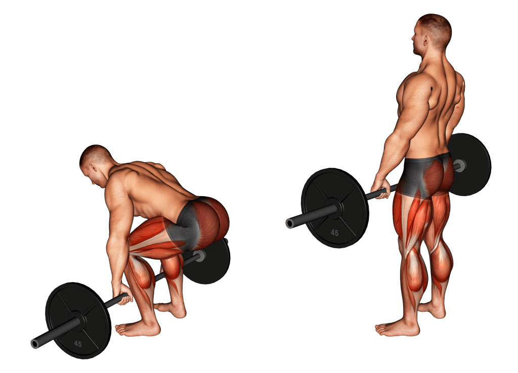 barbell deadlift