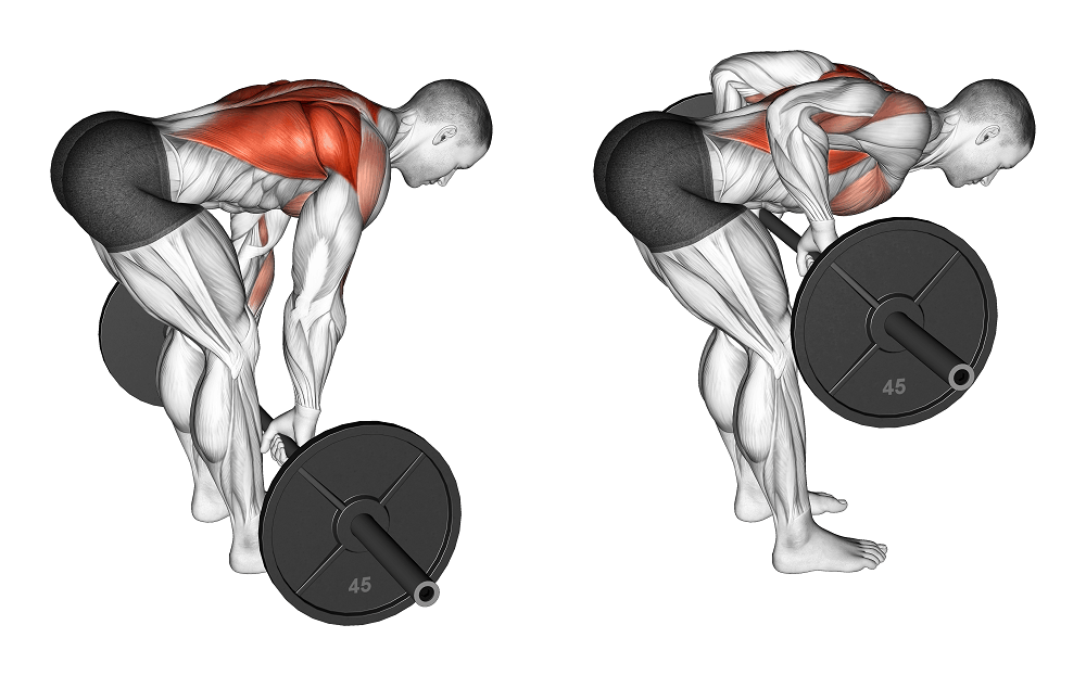 bent over row