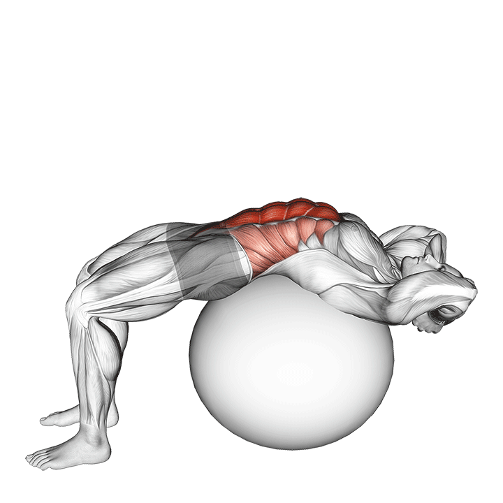 bosu ball crunch