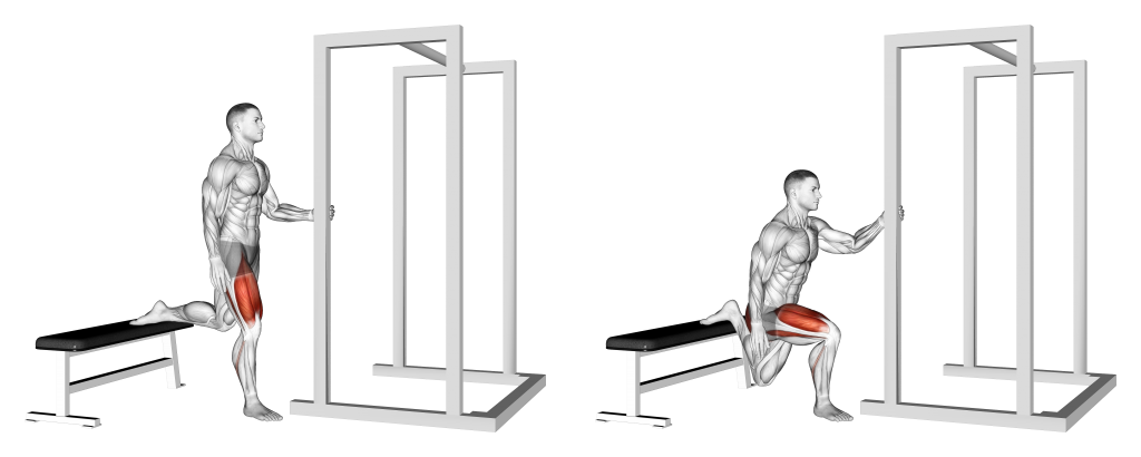 Bulgarian split squats muscles