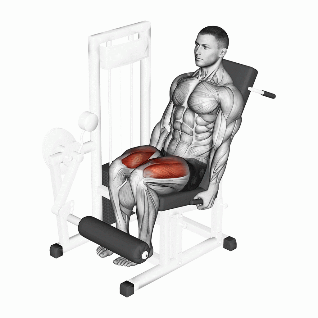 leg extension machine