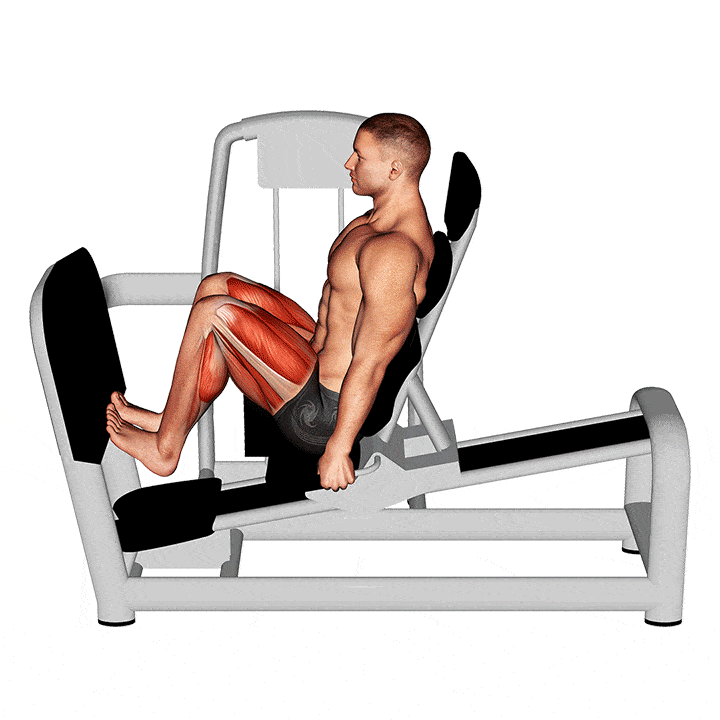 leg press calf raise