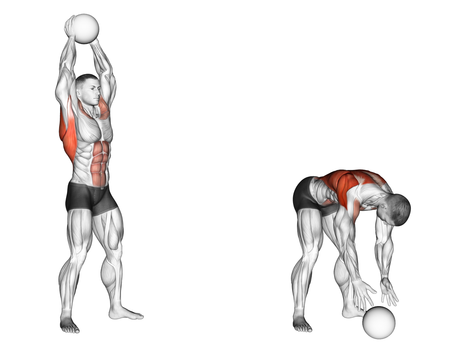 10 Best Battle Rope Alternatives (With Pictures!) - Inspire US