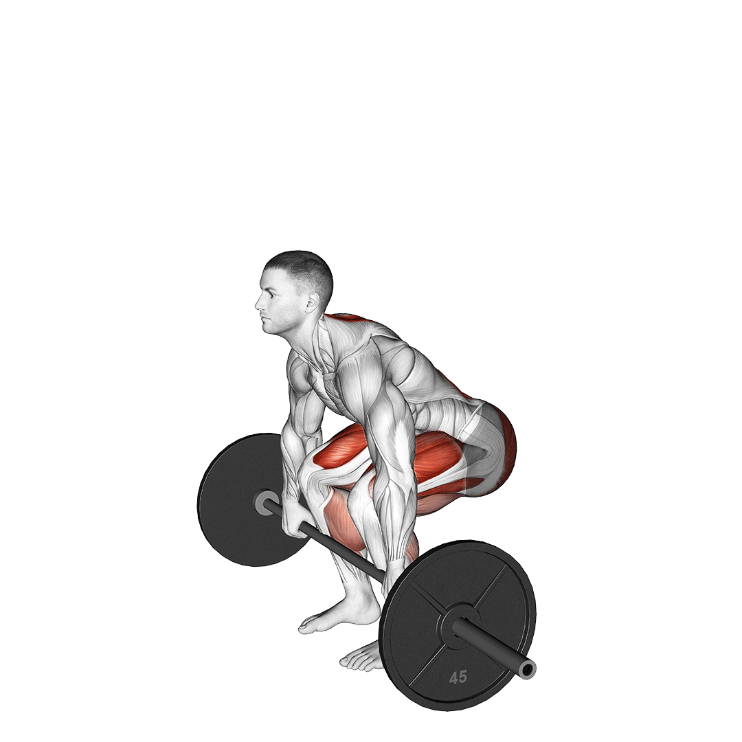 pause deadlift