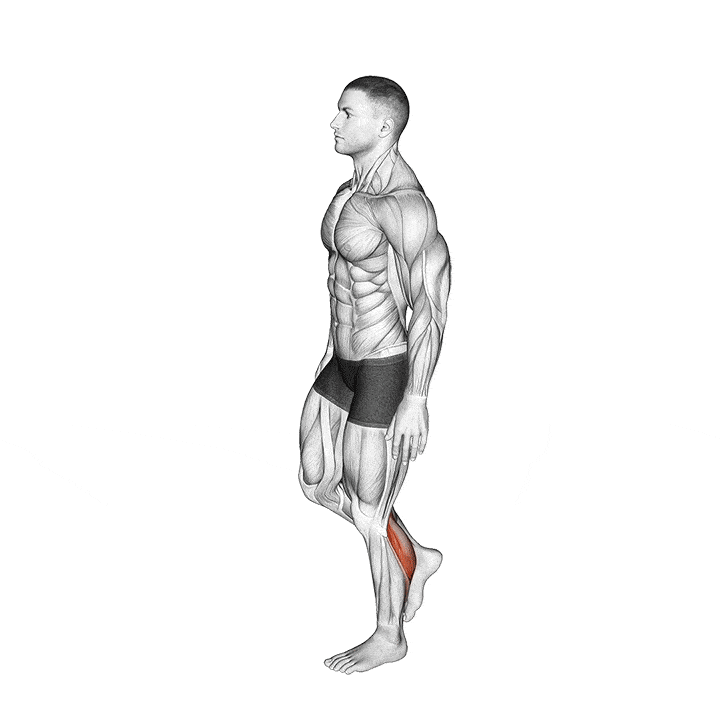 single leg standing calf raise