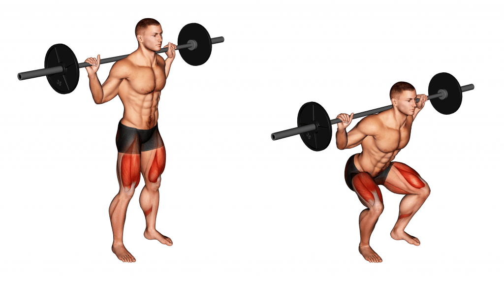 squat biomechanics