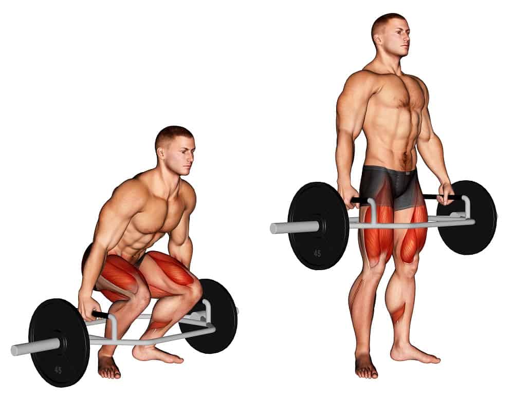 trap bar deadlift muscles