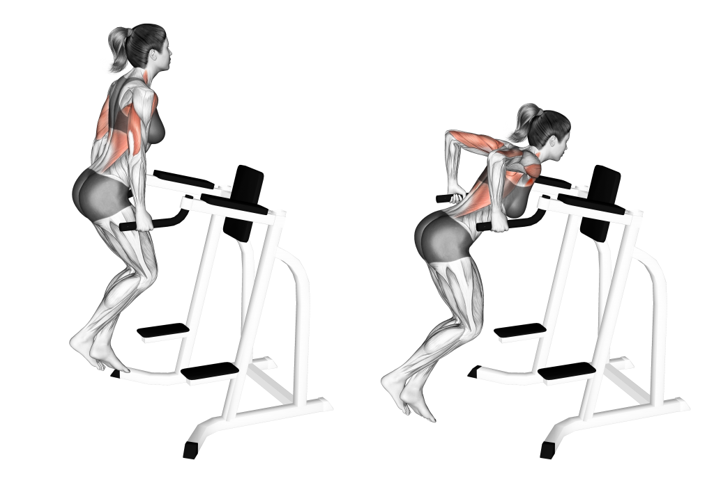 chest dip