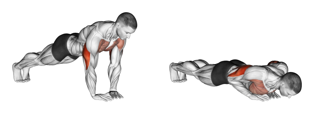 diamond push up muscles