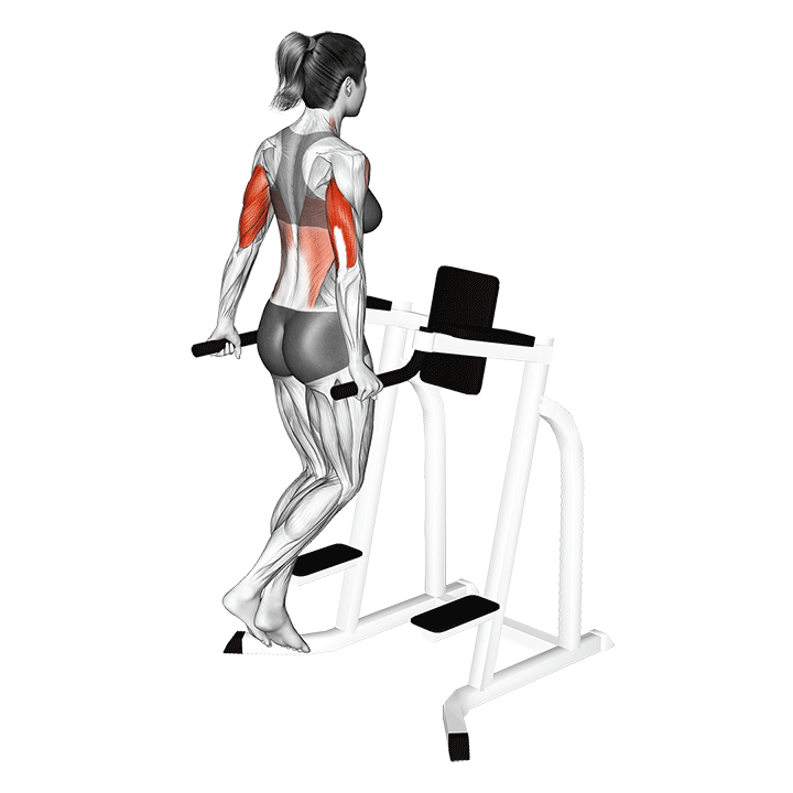 tricep dips