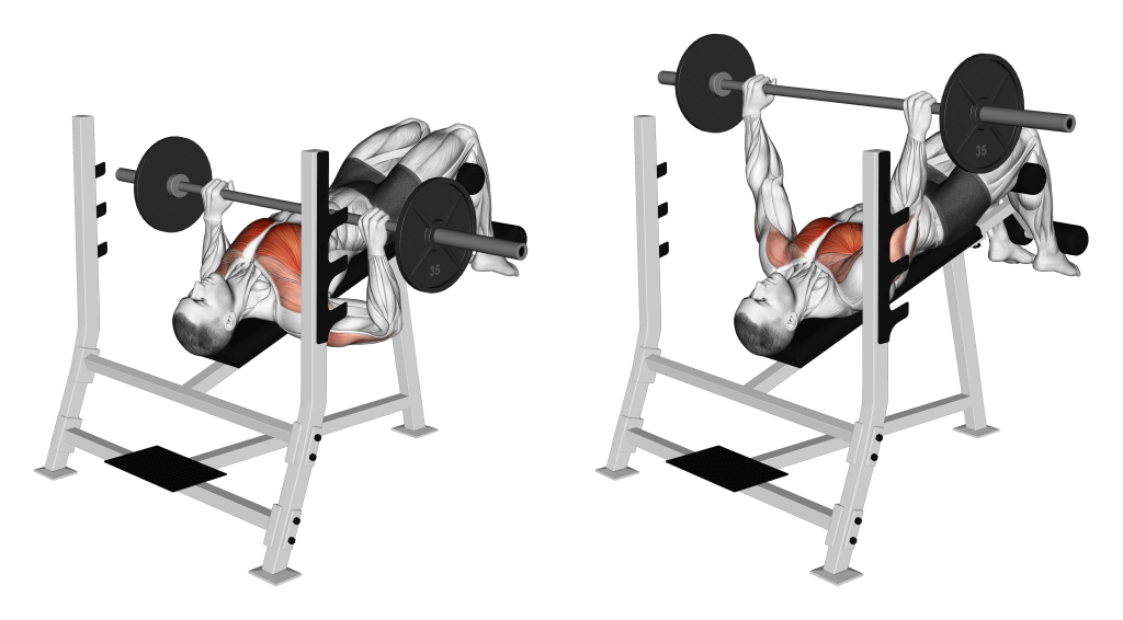 decline bench press