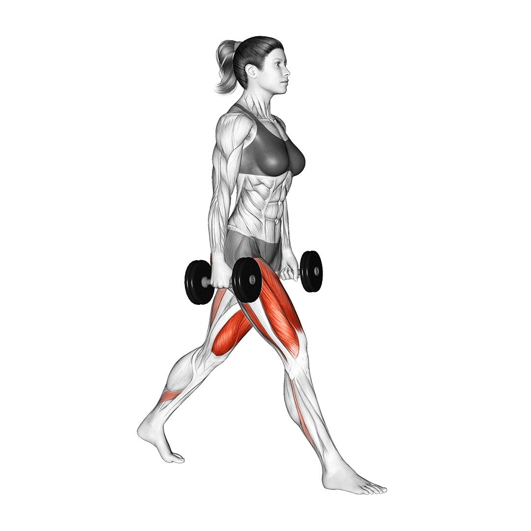 dumbbell split squat