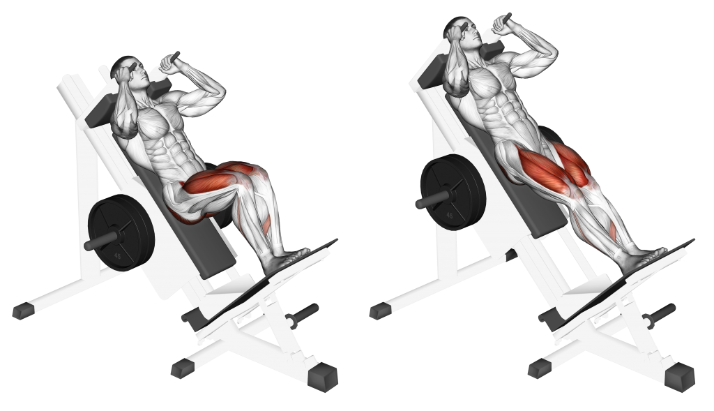hack squat machine