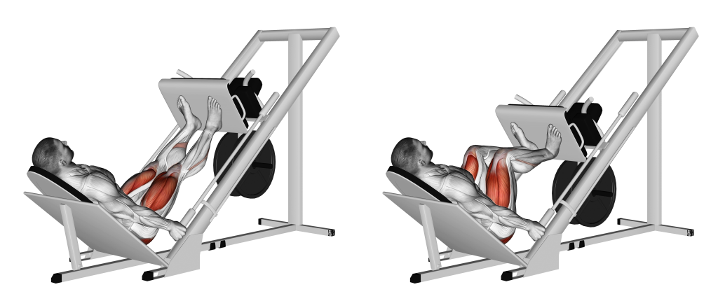 leg press machine