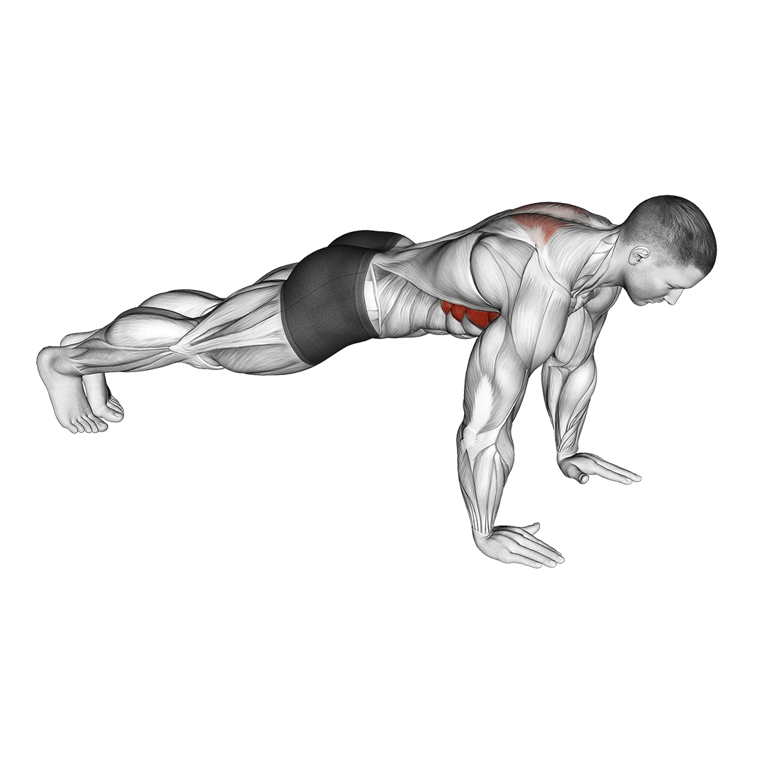 scapula push up