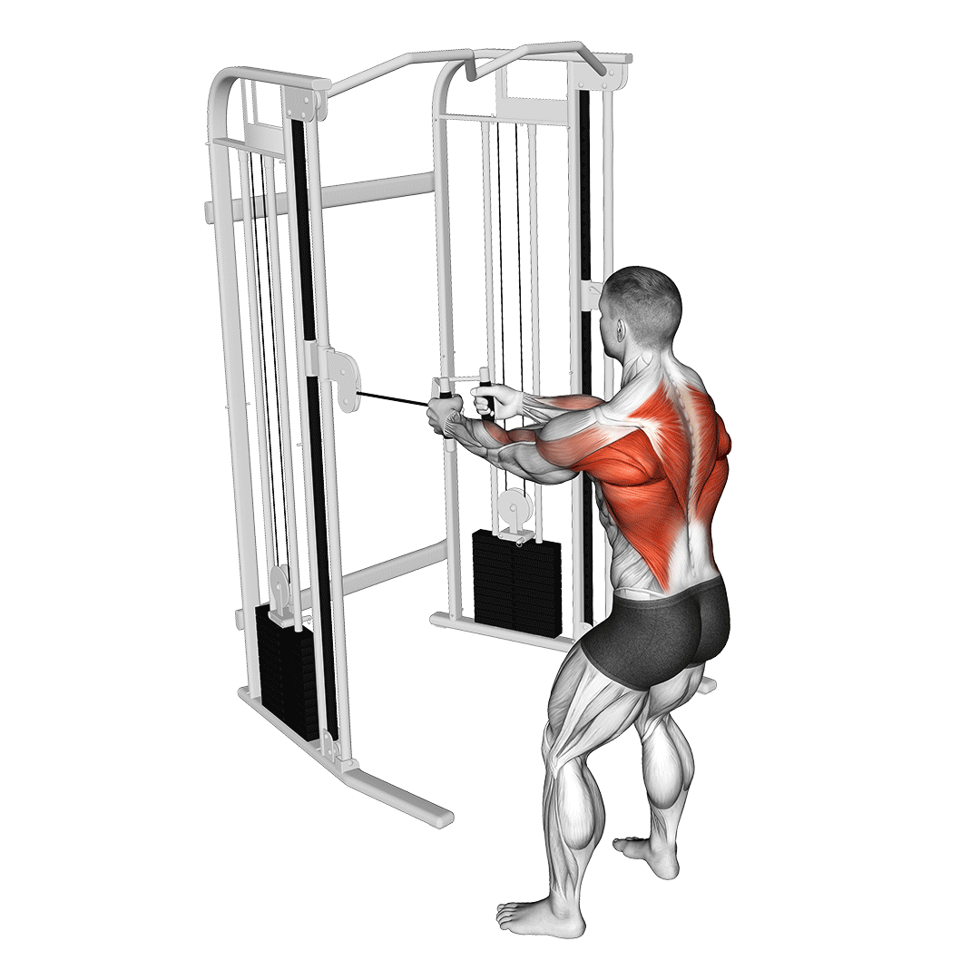standing cable row
