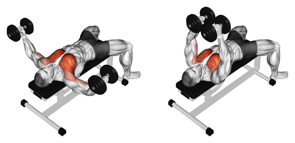 dumbbell chest flys