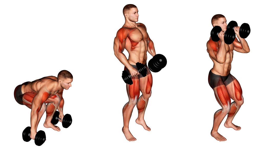 dumbbell power clean concentric