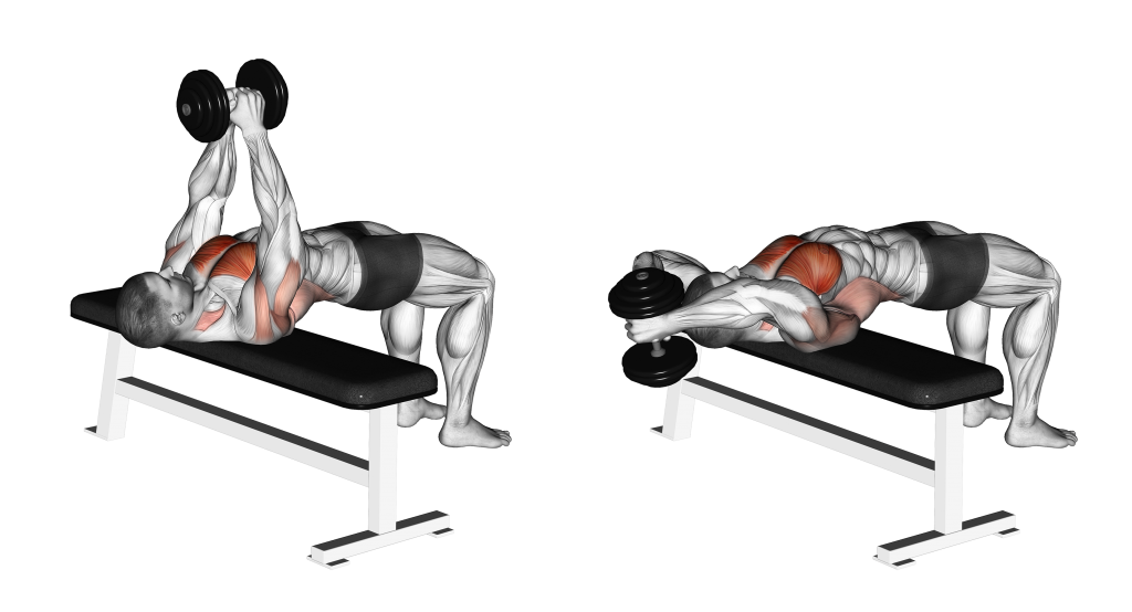 dumbbell pullover