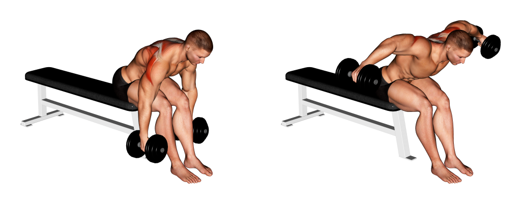 dumbbell rear delt fly step