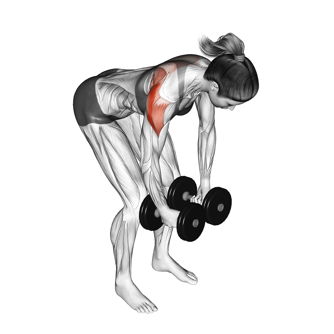 dumbbell rear delt fly