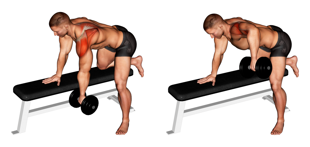 dumbbell rear delt row steps