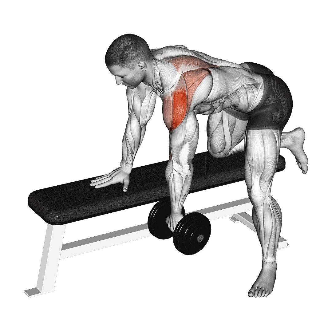 dumbbell rear delt row