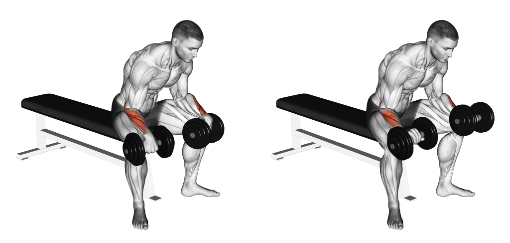 dumbbell reverse wrist curl