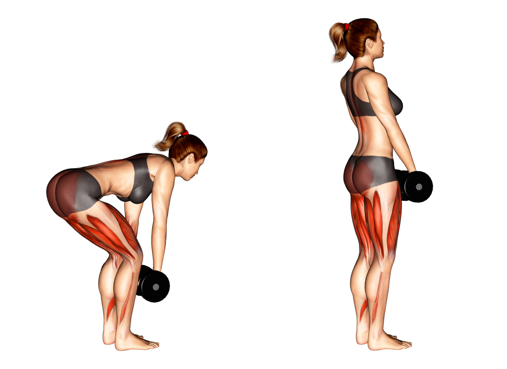dumbbell romanian deadlift steps
