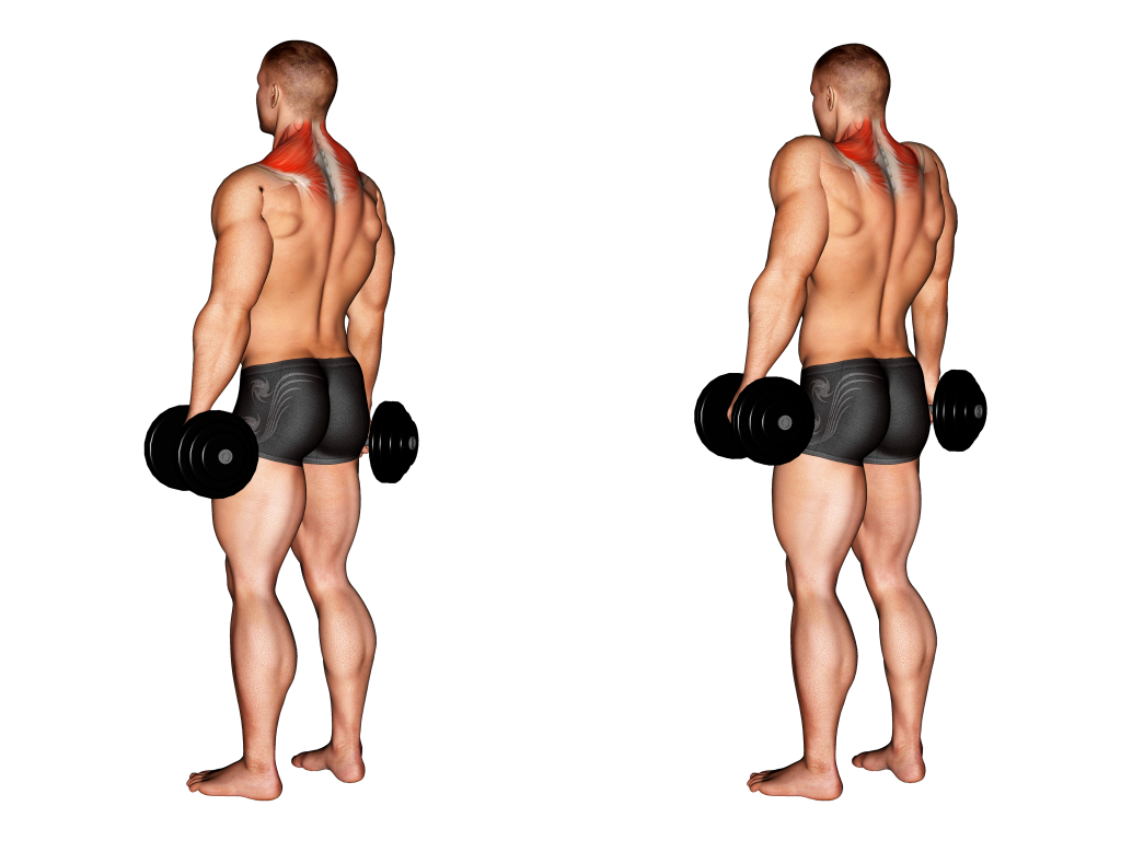 dumbbell shrug steps
