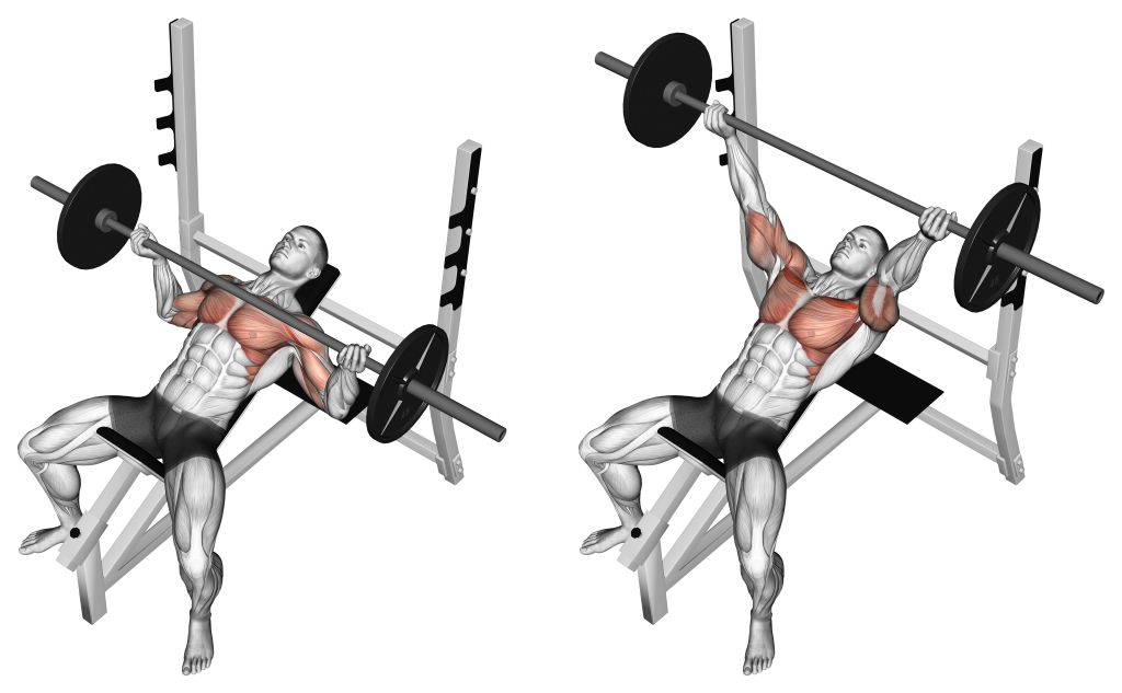incline bench press