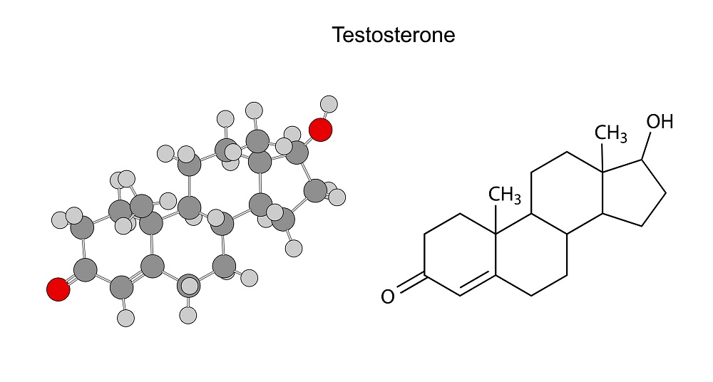 testosterone