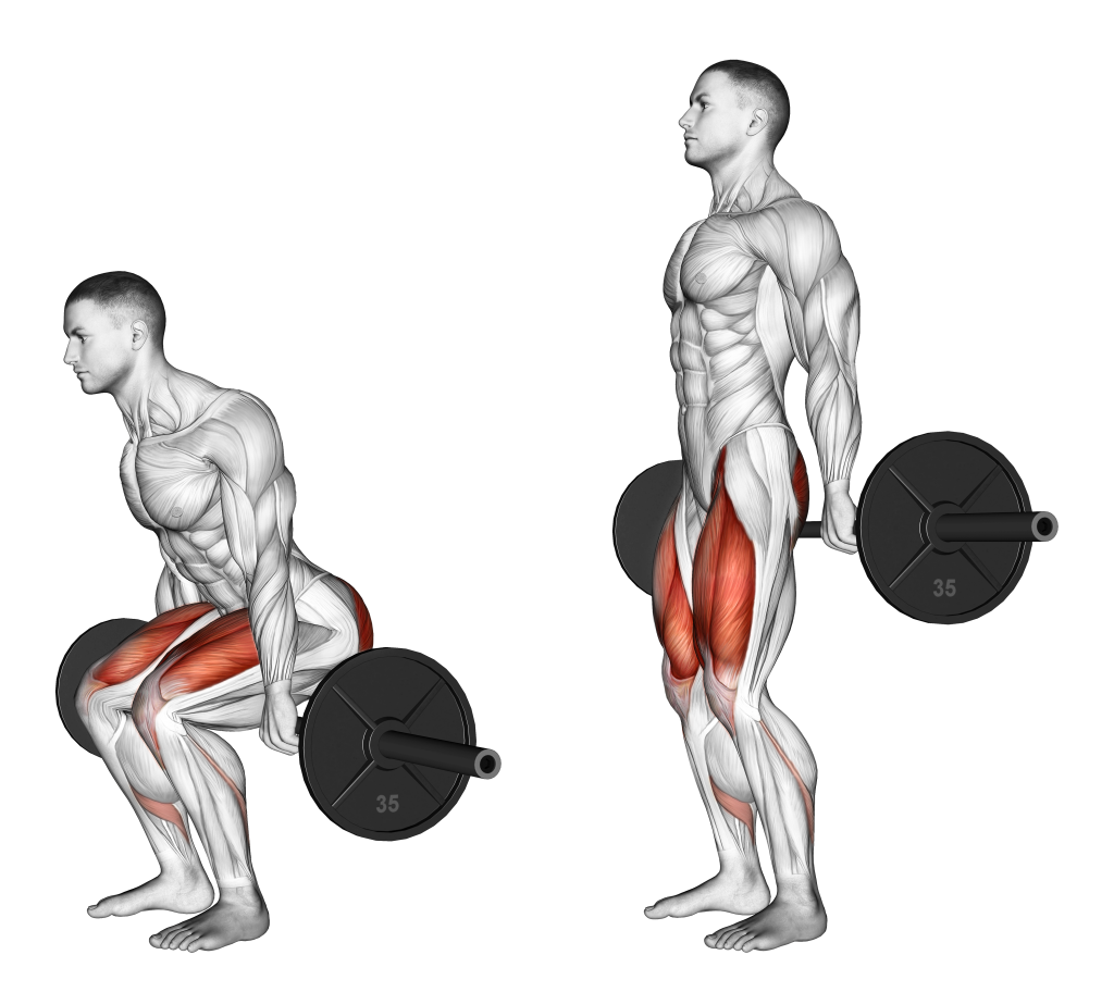 barbell hack squat movement