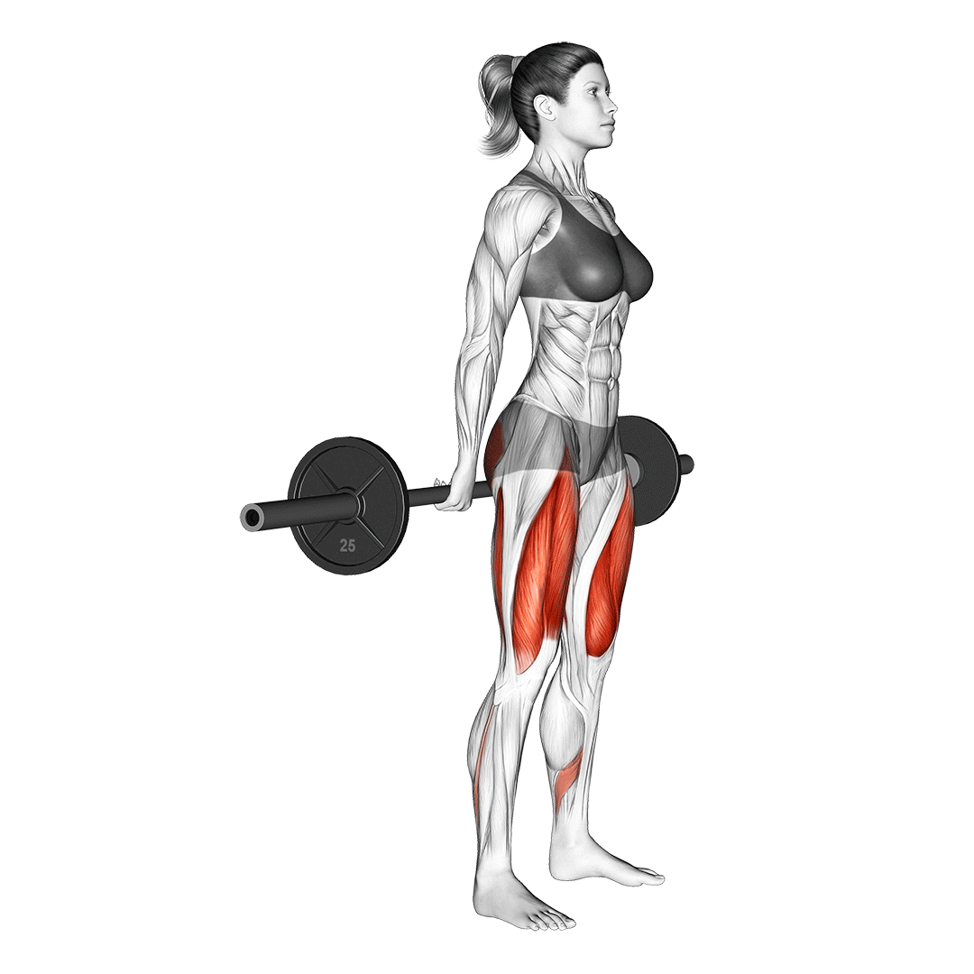 barbell hack squat