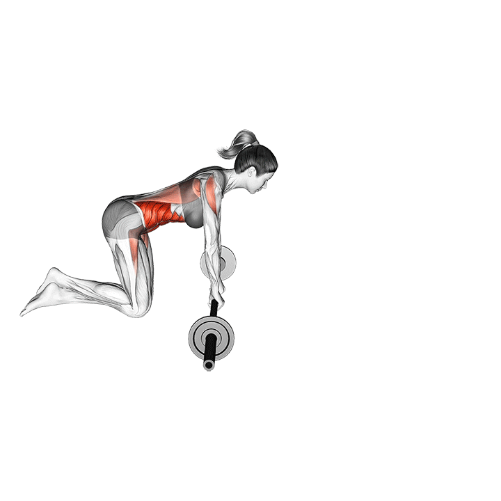 barbell rollout
