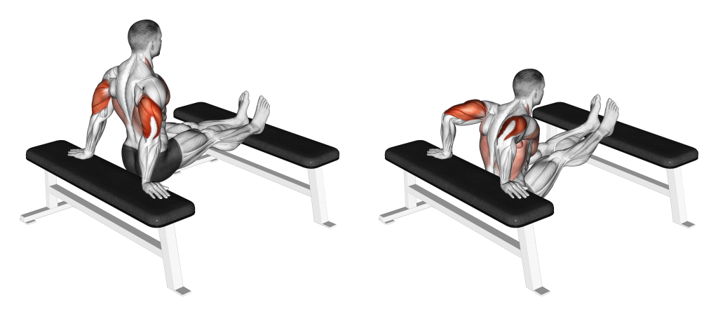 bench dip