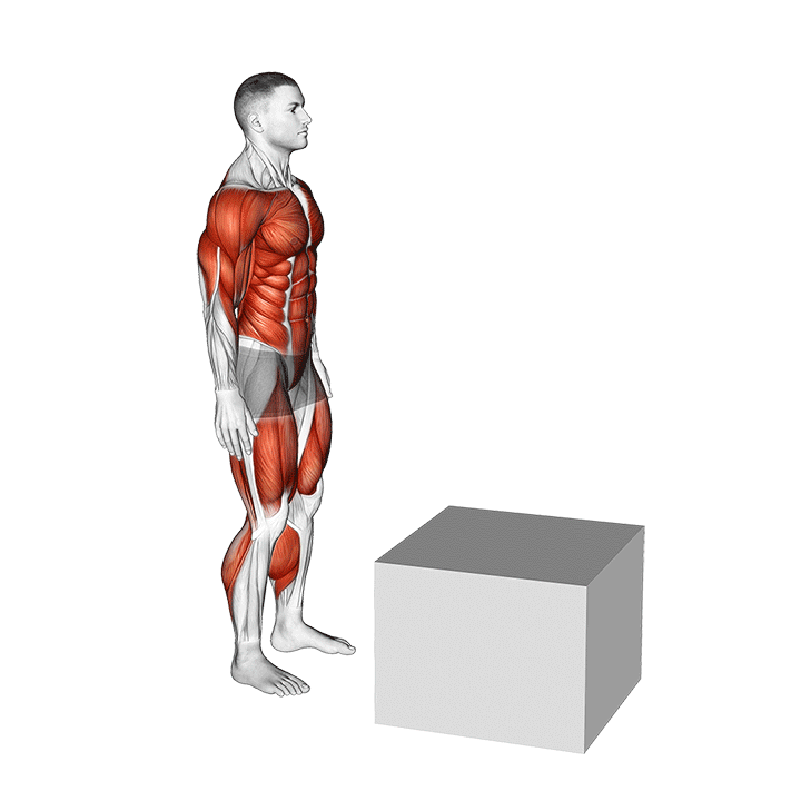box jump