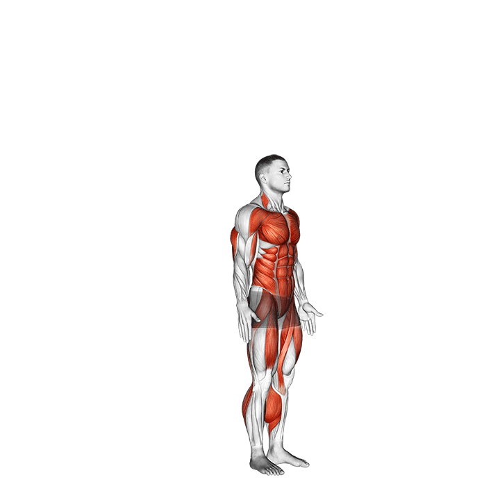 burpee movement