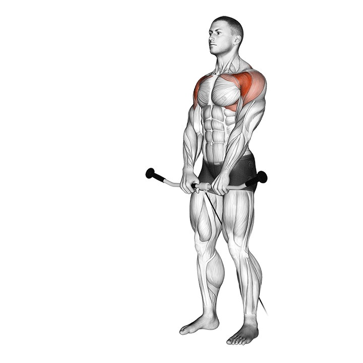 cable front raise movement