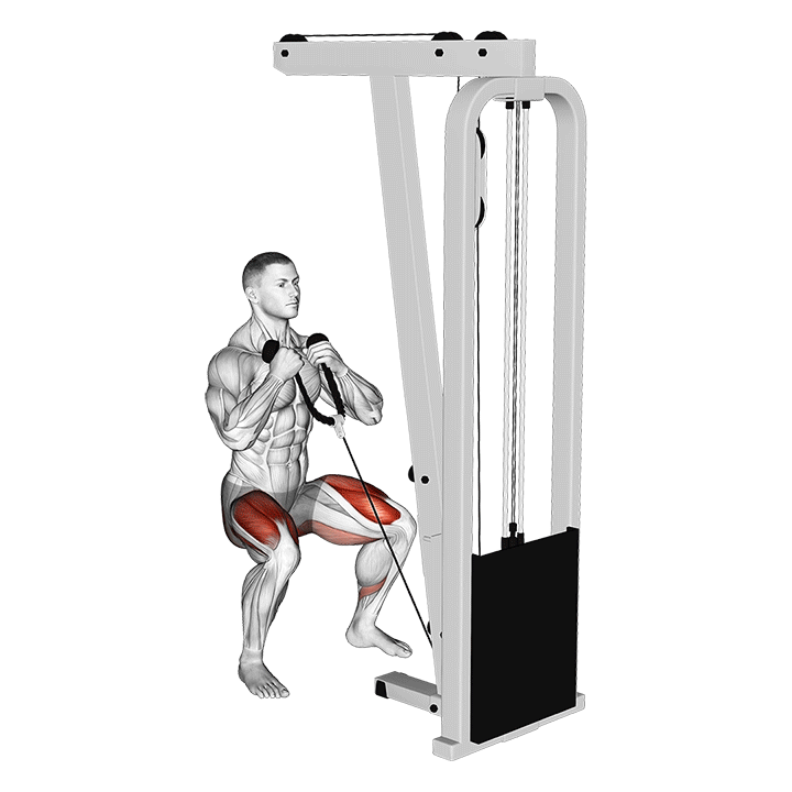 cable front squat