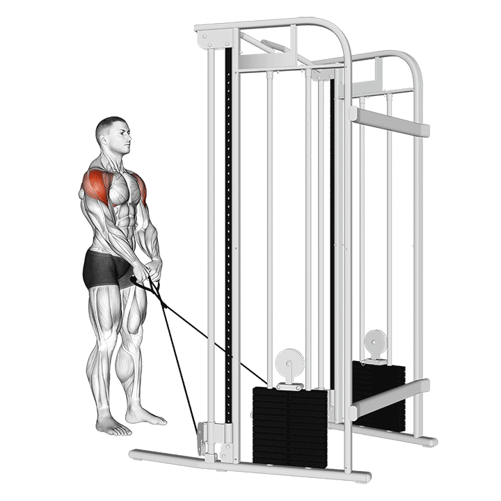 cable y raise movement