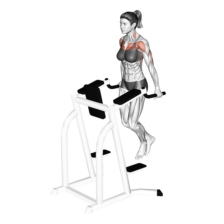 chest dip movement