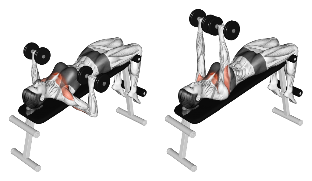 dumbbell decline bench press