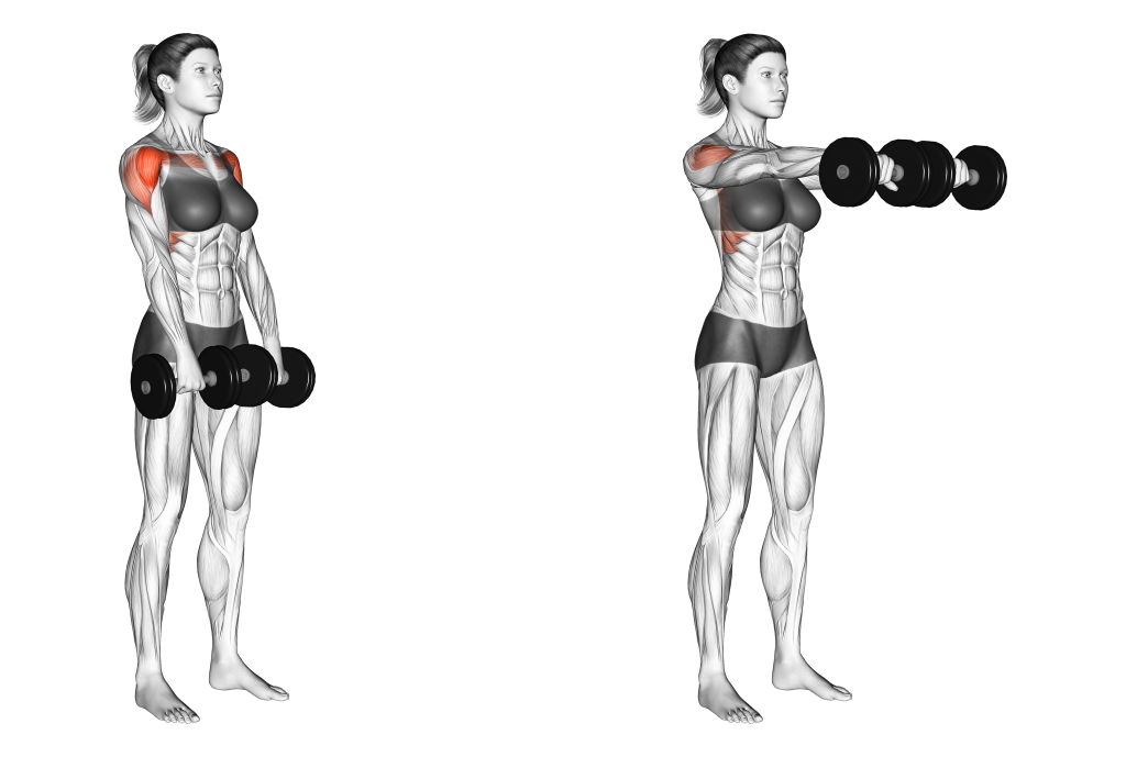 dumbbell front raise movement