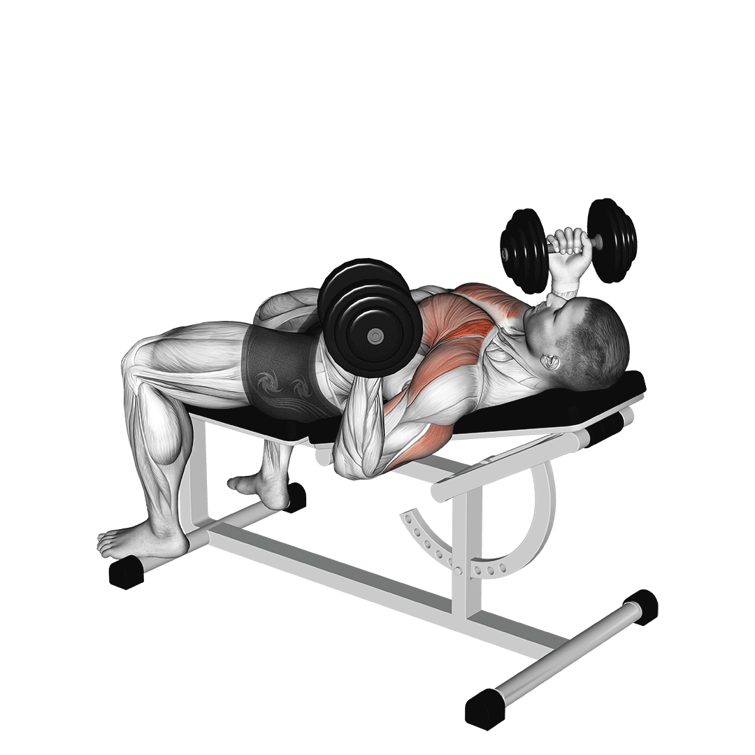 dumbbell incline reverse grip bench
