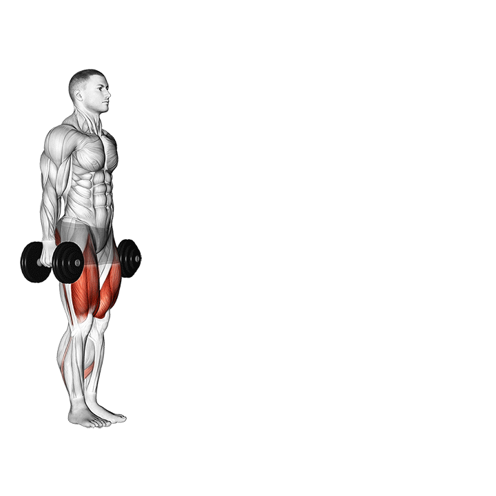dumbbell lunges